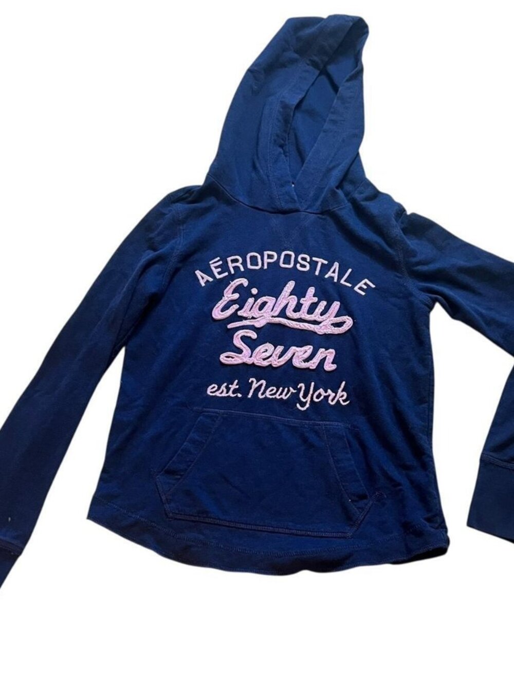 Y2K Aeropostale Eighty Seven Embroidered Hoodie